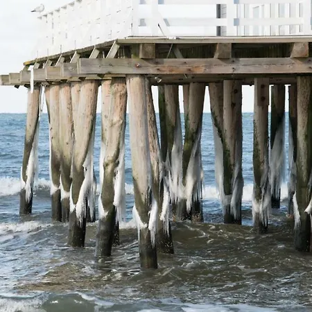 Luksusowe Eskada * 우스트 노리 모르스키